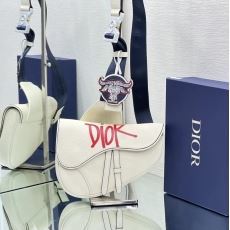 Christian Dior Saddle Bags